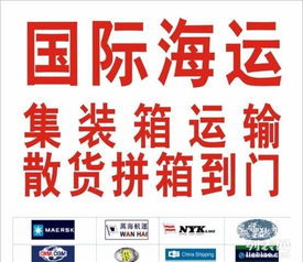 国际快递货物入仓打单上官网 DHL一级代理用服务说话